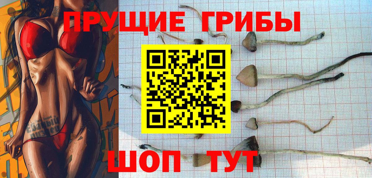 Шахты  Галлюциногенные грибы Magic Shrooms  дарнет шоп  Вход с VPN  Галлюциногенные грибы ЛСД 