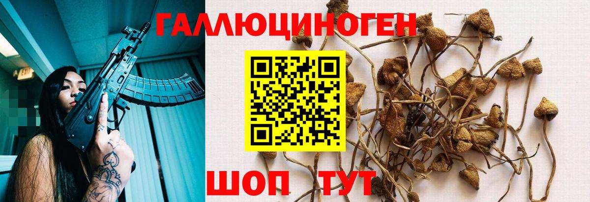 Галлюциногенные грибы Magic Shrooms Шахты
