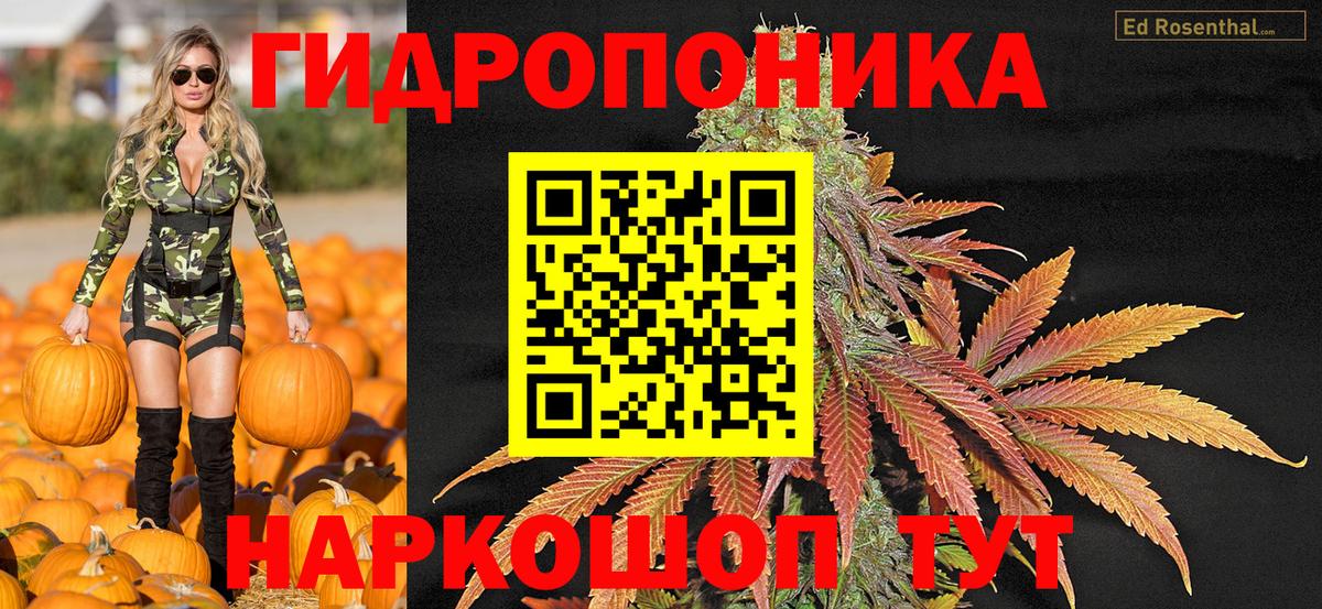 Бошки марихуана OG Kush  Вход с VPN  Шахты  МАРИХУАНА гибрид  Конопля AK-47 